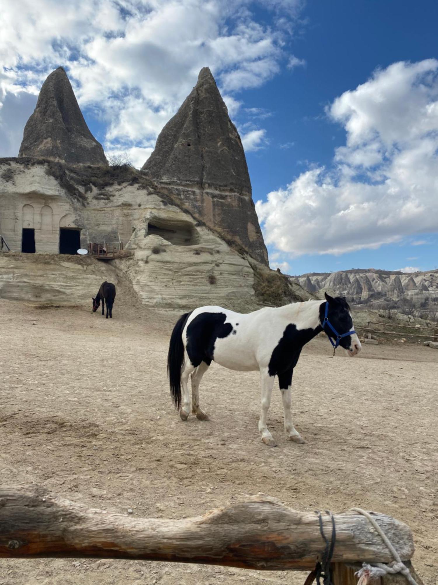 Sinasos Evleri Otel Nevşehir Dış mekan fotoğraf